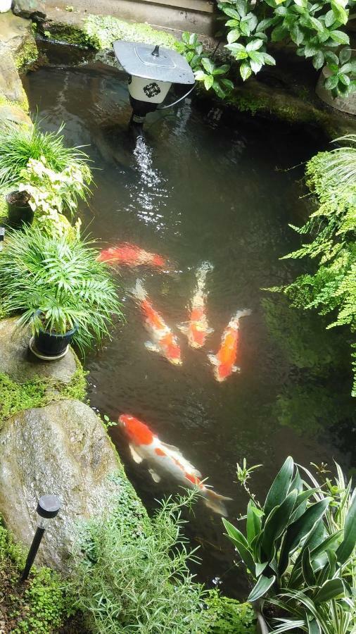 Walking Pilgrimage Hotel Tokiwa Ryokan Ozu  Dış mekan fotoğraf